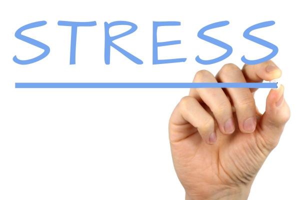 The dimensions of the organizational stress